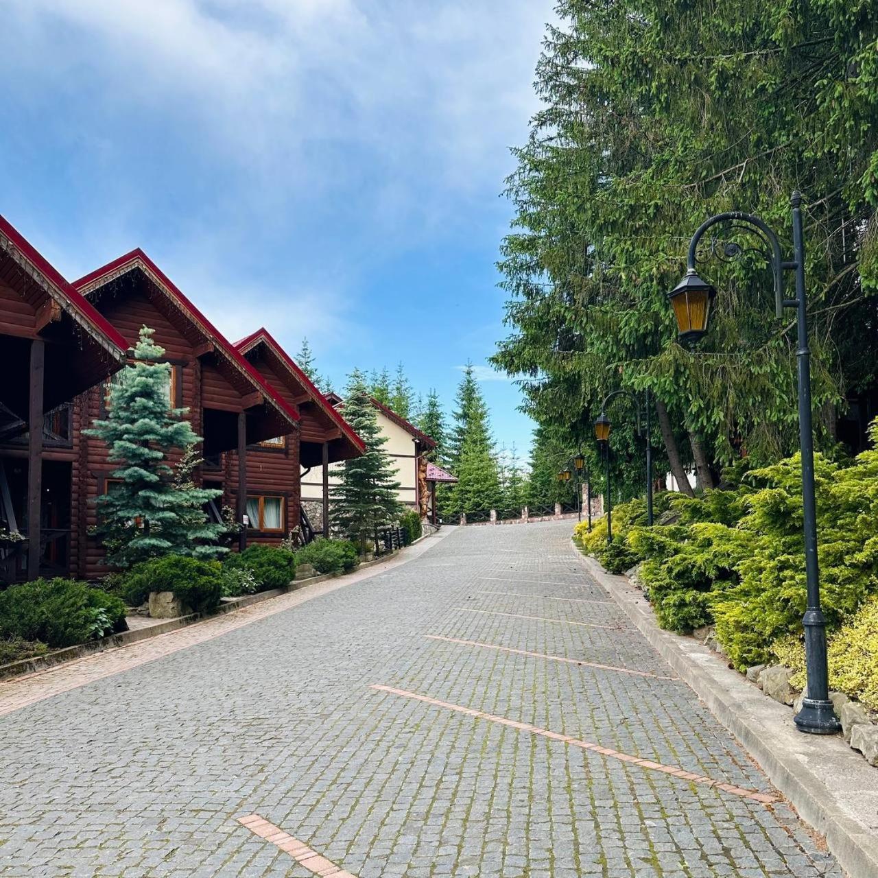 Gorgany Resort & Spa 亚布卢尼齐亚 外观 照片